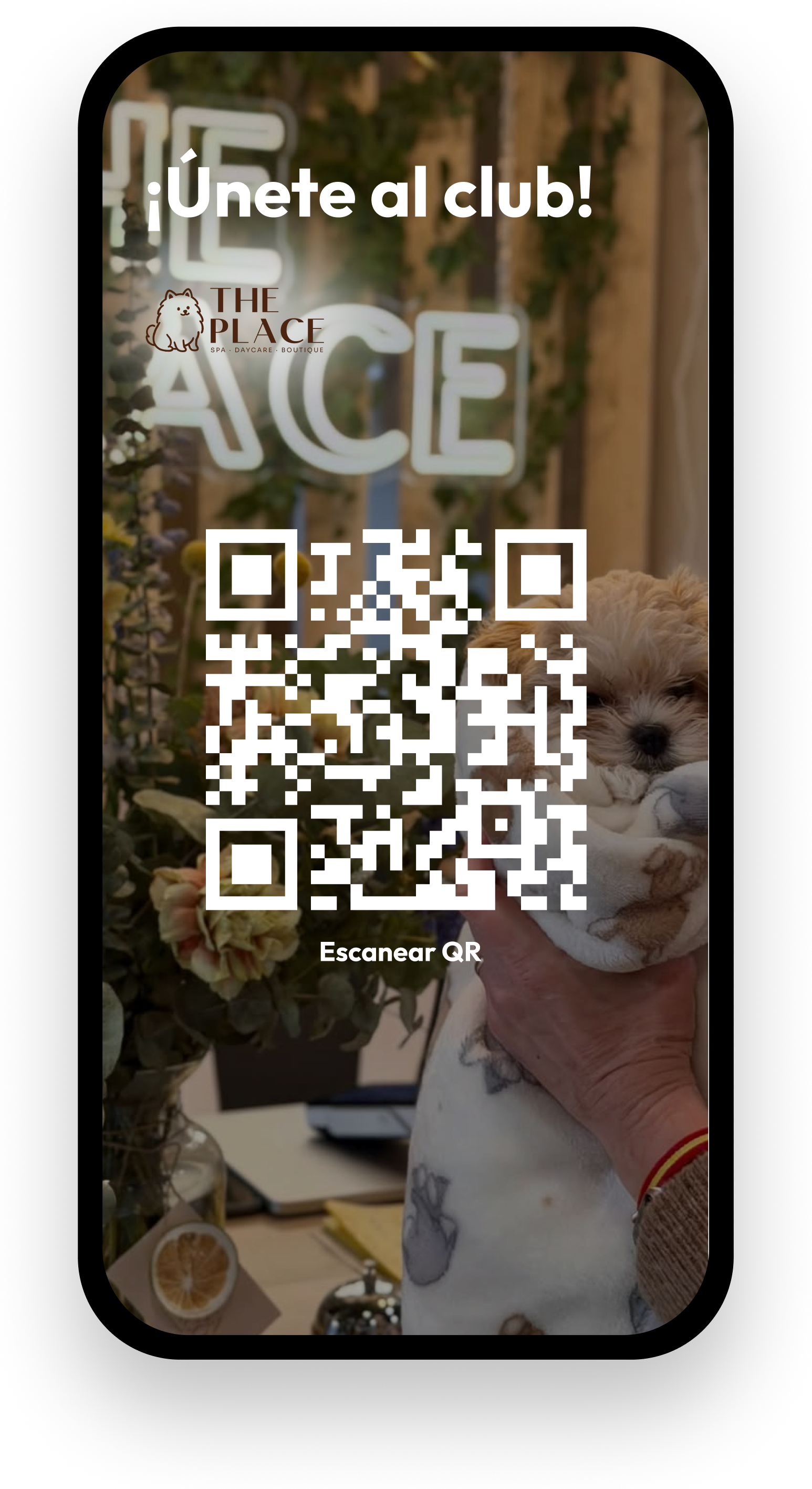 Imagen del carrusel 6